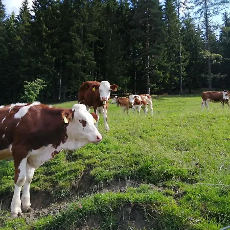 Berglerhof Apartament Filzmoos