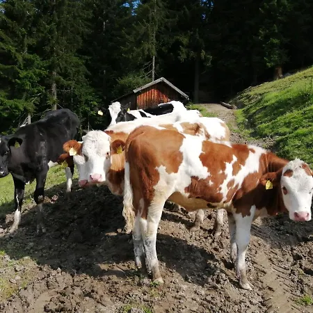 Berglerhof Filzmoos