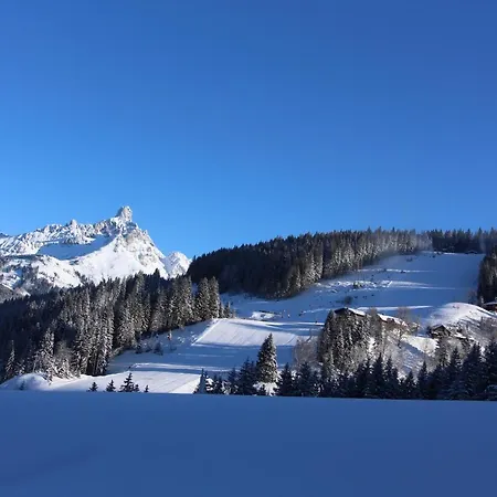 Berglerhof Apartamento Filzmoos