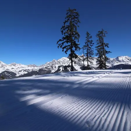 Berglerhof Lejlighed Filzmoos