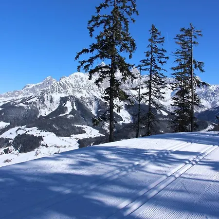 Berglerhof Apartament