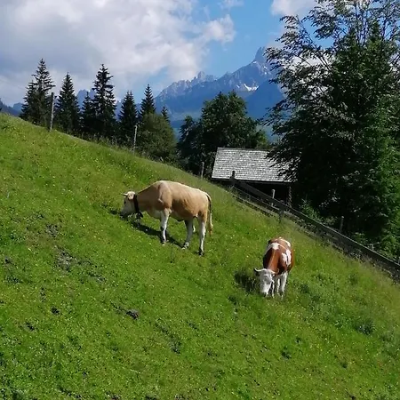 Berglerhof Διαμέρισμα *